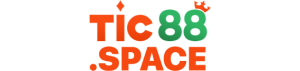 TIC88.SPACE