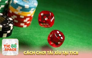 Cách chơi tài xỉu và một vài thông tin liên quan